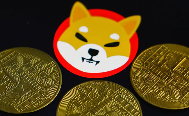 Meme Coin Alien Shiba Inu Rallied Over 500 Percent In A Day