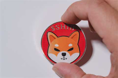 Shiba Inu Coin Prediction