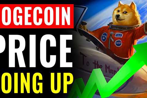 Dogecoin Price - January To July (Visualised) - DogeCoin Market News Now