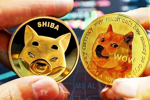 Shiba Inu And Dogecoin Lead Popularity Charts In 30 U.S. States - DogeCoin Market News Now