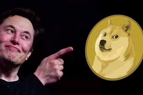 Elon Musk Plans To Become The World’s First Dogecoin Trillionaire - DogeCoin Market News Now