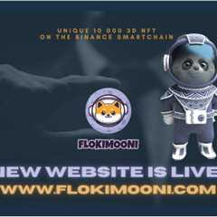 Flokimooni: New website and NFT collection is coming soon!