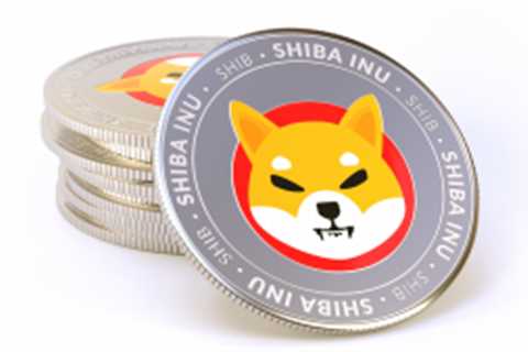 Shiba Inu Investors Should Manage Expectations, Not Move Goalposts