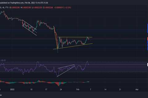 Shiba Inu, Chainlink, EOS Price Analysis: 06 February - Shiba Inu Market News