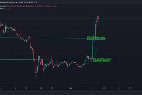 Shiba Inu’s SHIB extends surge, Bitcoin breaks key VWAP resistance - Shiba Inu Market News