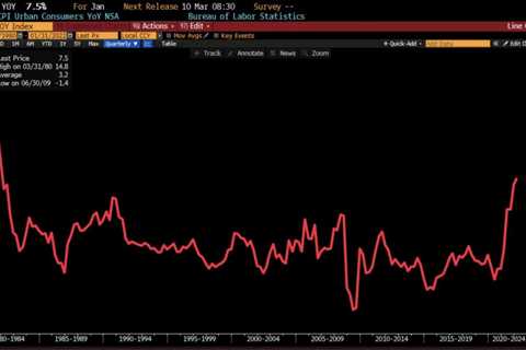 Fad Investing and The Power of the Dog