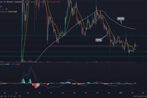 DOGE Price Today: Dogecoin Bulls Must Hold This Key Support