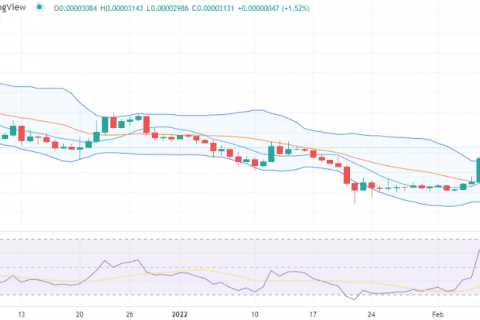 Shiba Inu price analysis: SHIB recovers at $0.00003131 after taking a steep plunge - Shiba Inu..