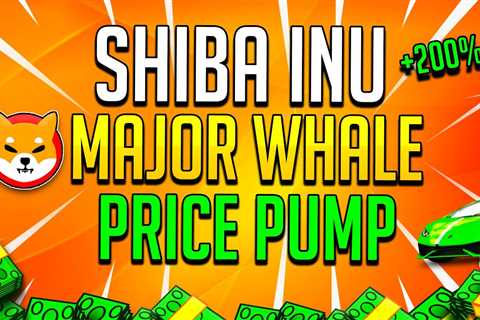 SHIBA INU COIN WHY THEY BOUGHT TRILLIONS OF SHIBA INU TOKEN! - Shiba Inu Market News