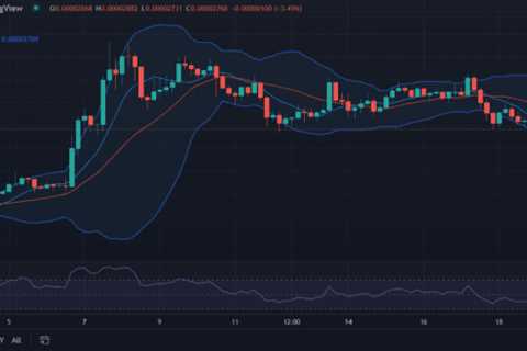 Shiba Inu price analysis: SHIB suffers devaluation at $0.00002771 - Shiba Inu Market News