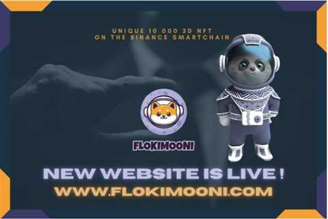 Flokimooni: New website and NFT collection is coming soon!