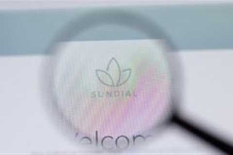 SNDL Stock: Traders Starting to Buy Into Sundial's Comeback Story - Shiba Inu Market News