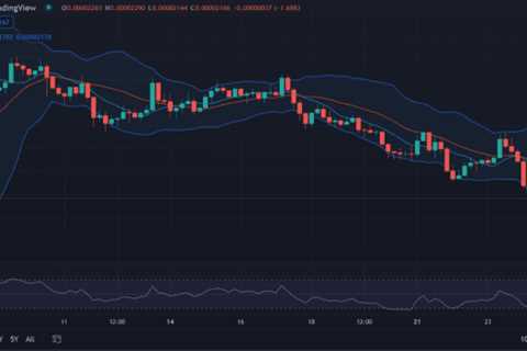 Shiba Inu price analysis: SHIB break support at $0.00002175 - Shiba Inu Market News