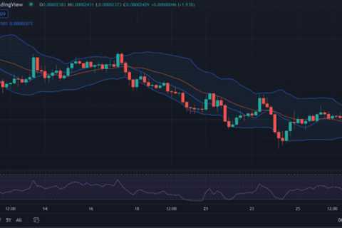 Shiba Inu price analysis: SHIB illustrates stable dynamics at $0.00002429 - Shiba Inu Market News