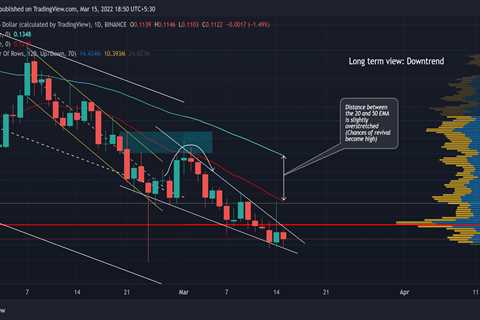 Evaluating the potential of this bullish case for Dogecoin