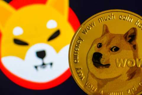 Doge vs Shiba: A deep dive into meme coins