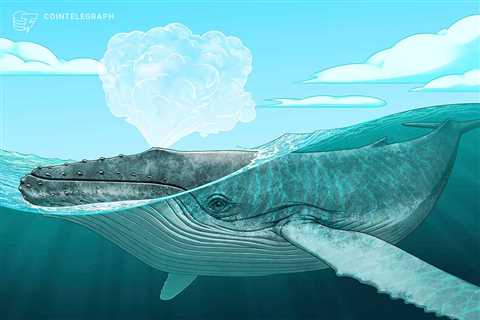 Beware the Bitfinex whale: New $45K BTC sell wall appears amid worries Bitcoin could retrace