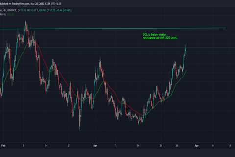 Shiba Inu, Solana tokens lead gains as Bitcoin hovers over $47K - Shiba Inu Market News