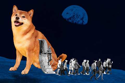 Shiba Inu Sheds Almost 65,000 Holders in 12 Days — DailyCoin - Shiba Inu Market News