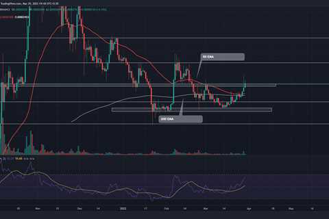 Shiba Inu Price Prediction: $0.0000293 Breakout Hints At Another 20% Rally For SHIB Price - Shiba..