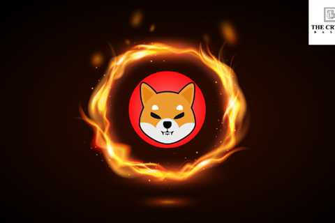 303M Shib Destroyed In 24 Hours, Here’s How Shiba Inu Burn Rate Skyrocketed 3043% Over the Last Day ..