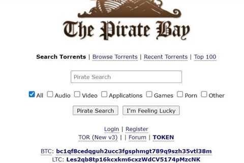 The Pirate Bay Earned Millions in Bitcoin Donations (If it HODLed)