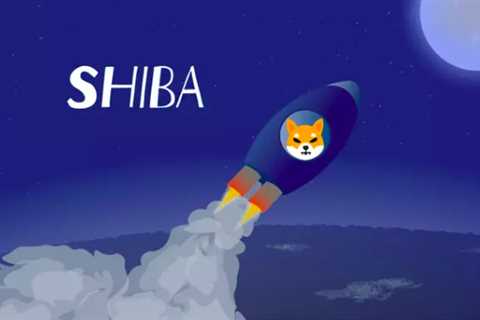 Can the moon literally guide Shiba Inu to the moon?