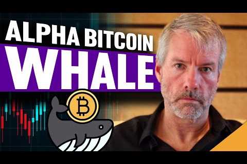 Alpha Bitcoin Whale (Why This Man Knows MORE Than You About Crypto)