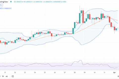 Shiba Inu price analysis: SHIB bearish at $0.00002554 - Shiba Inu Market News