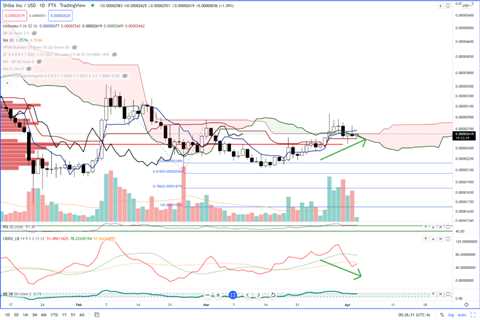 Dogecoin-killer Shiba Inu set for a massive 50% spike