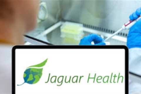 Why Is Jaguar Health (JAGX) Stock Up Today? - Shiba Inu Market News