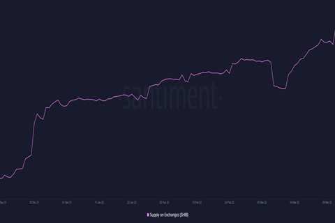 Here’s how TerraUSD managed to surpass Shiba Inu in market cap rankings - Shiba Inu Market News