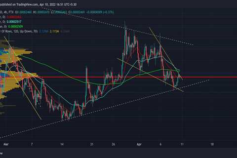 Shiba Inu can reject this bearish disposition only if… - Shiba Inu Market News