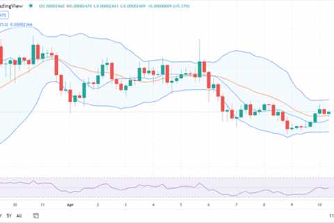 SHIB/USD set to dip further in the next 24 hours - Shiba Inu Market News
