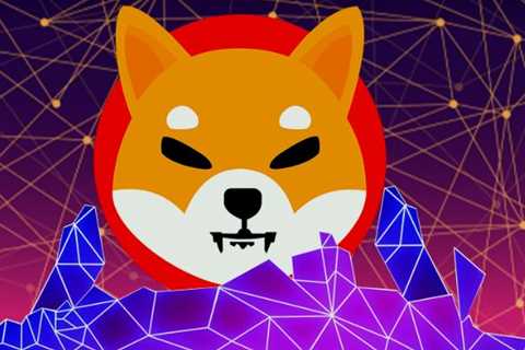 Long Term Shiba Inu Holders Increase Holding By 57% In 30 Days, Benefit Massively From Token Surge..