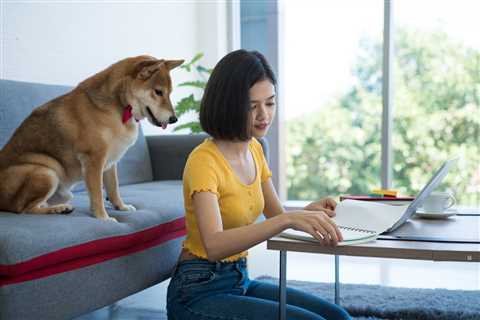 Why Shiba Inu Lost Nearly 70,000 Users Over the Past 28 Days - Shiba Inu Market News