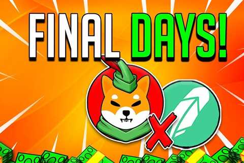 SHIBA INU COIN PRICE PUMP PLAN LEAKED!? - SHIB ROBINHOOD UPDATE! - Shiba Inu Market News