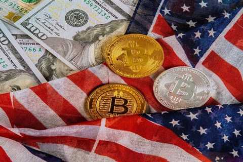 US Crypto Investors Made the Most Profits in 2021: Report