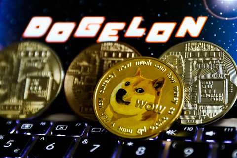 Why Are Meme Coins Still A Thing, And Are They Worth The Gamble? - Shiba Inu Market News