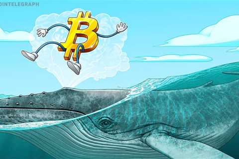 Bitcoin whale holdings at 7-month highs despite warnings of BTC price crash to $20K
