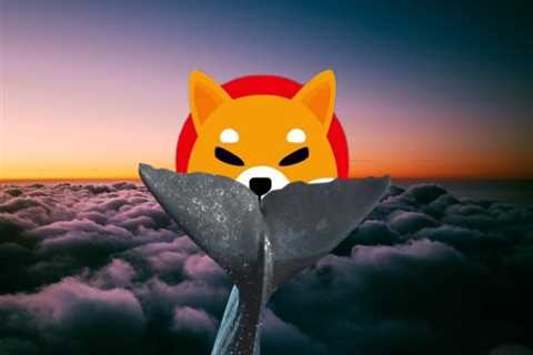 Another 57 trillion Shiba Inu coins bought after SHIB drops below $0.000017