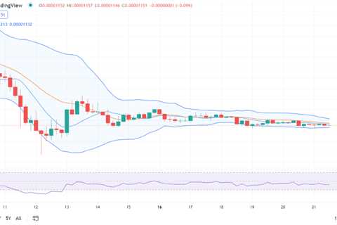 Shiba Inu price analysis: SHIB devalues at $0.00001150 after bearish run - Shiba Inu Market News