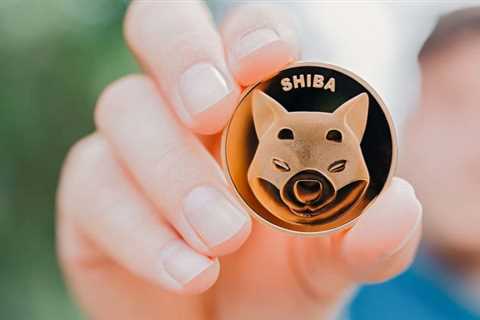 Hold Your Shiba Inu, But Make Sure You Have Perspective - Shiba Inu Market News