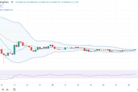 Shiba Inu price analysis: SHIB shows bullish potential at $0.00001196 - Shiba Inu Market News