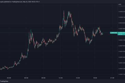 Terra Gains 100% Amid âInsane Volatilityâ As Analysts Remain Split On A Gigantic LUNA Recovery