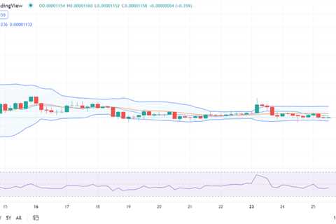 Shiba Inu price analysis: SHIB remains stable at $0.00001159 - Shiba Inu Market News