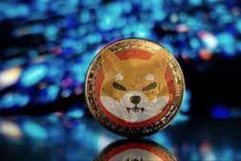 Why SHIB is bound to rally in the next bull-run