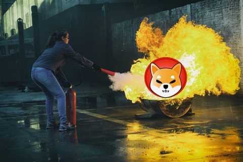 Shiba Inu Burn Rate Falls 25%, Price Rally Delayed?