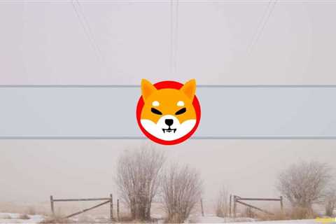 The Anonymous Creator of Shiba Inu (SHIB) Deletes All Tweets and Blogs - Shiba Inu Market News