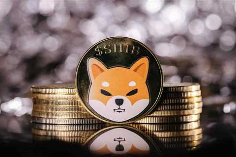 SHIB founder deletes tweets mysteriously one year after previous social activity - Shiba Inu Market ..